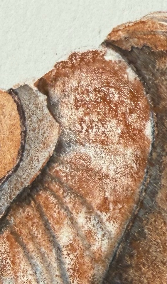 Close-up of a textured surface with shades of brown and orange, resembling natural materials.